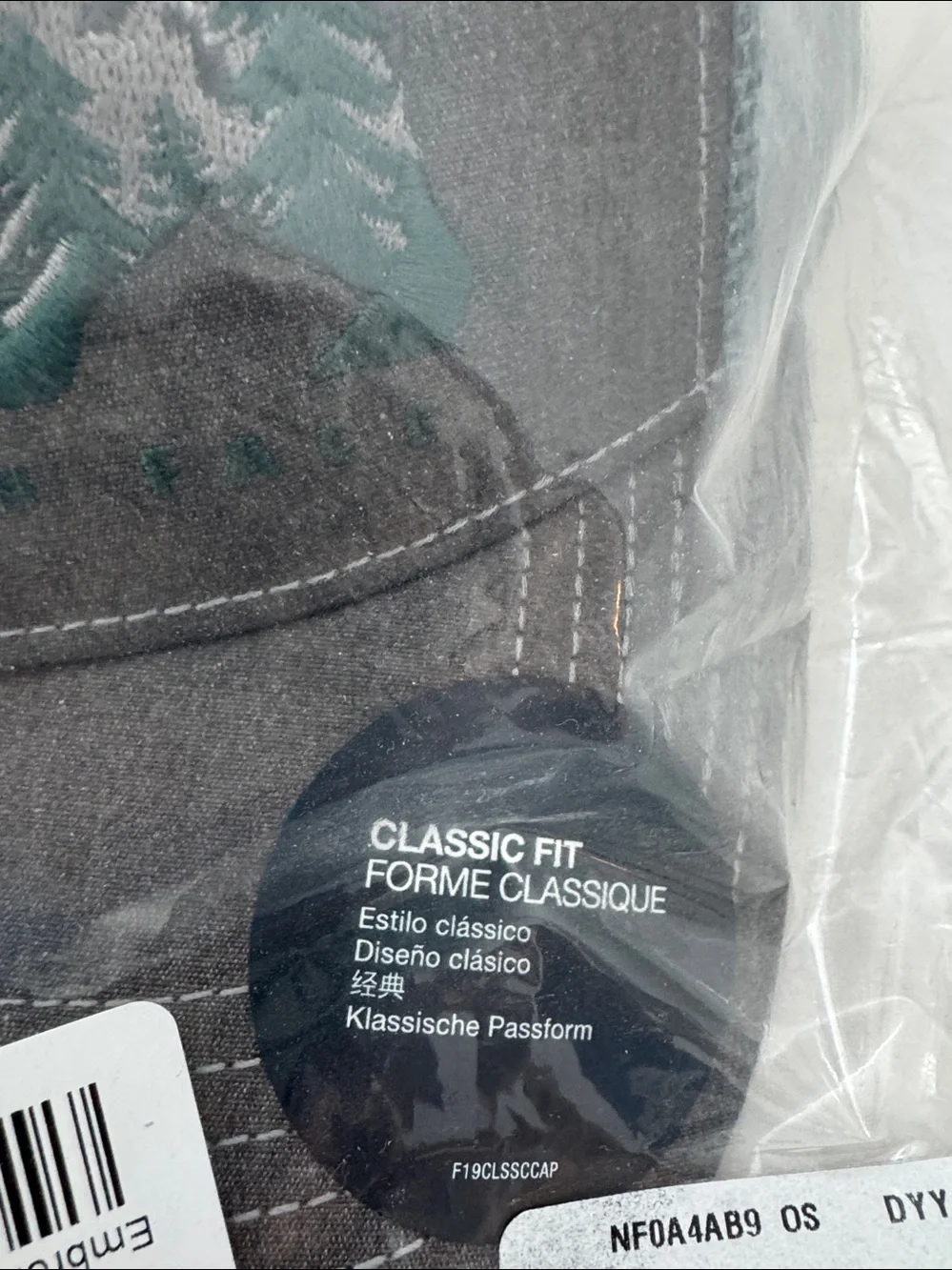NWT North Face Bear trucker hat